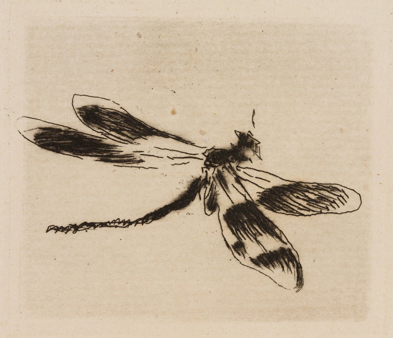Libellula, tavola 1 da Le Fleuve da Édouard Manet