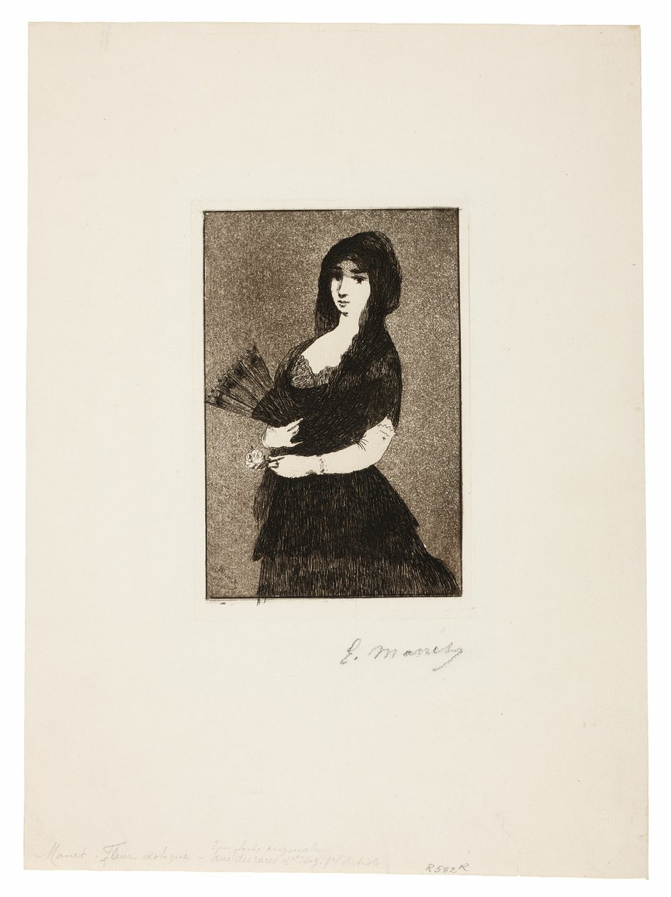 Fiore esotico (Donna con mantiglia) da Édouard Manet
