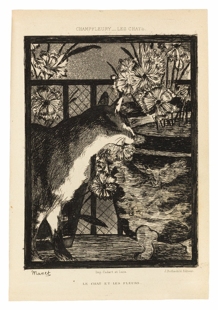 Gatti da Édouard Manet