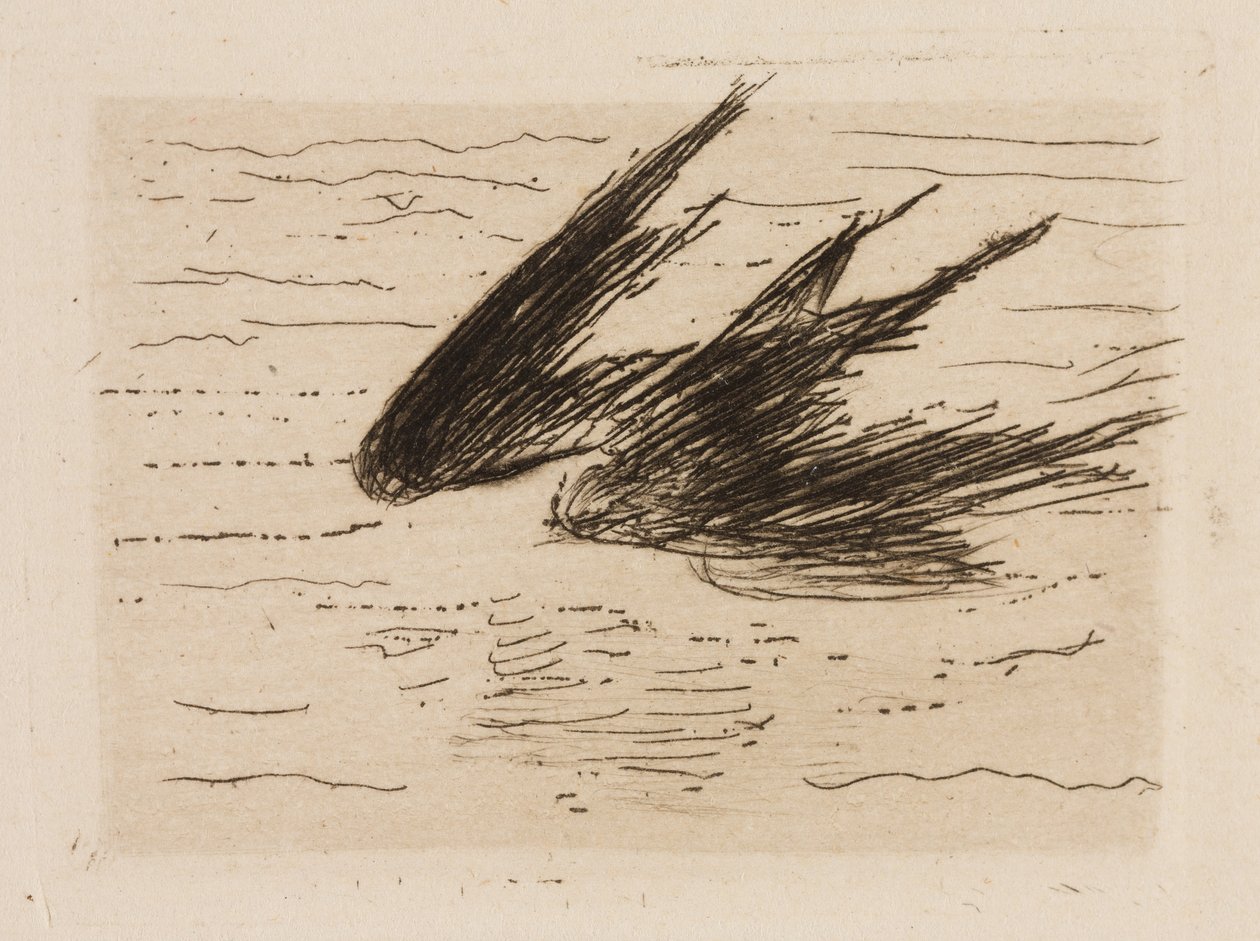 Rondini, piatto 8 da Le Fleuve da Édouard Manet
