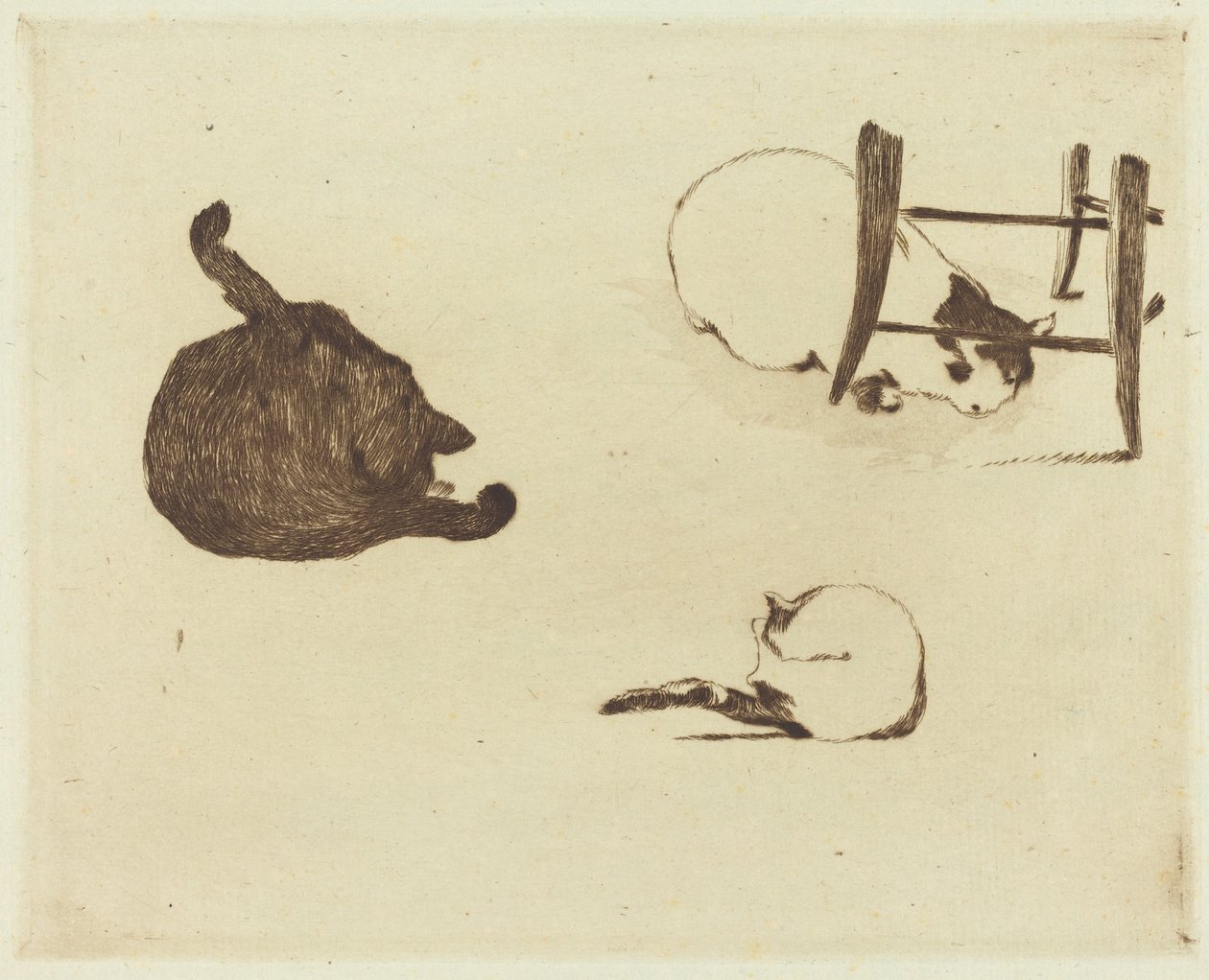 I Gatti da Édouard Manet