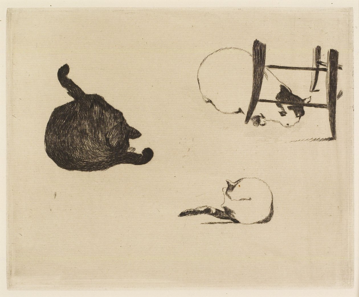 I gatti, 1869 da Édouard Manet