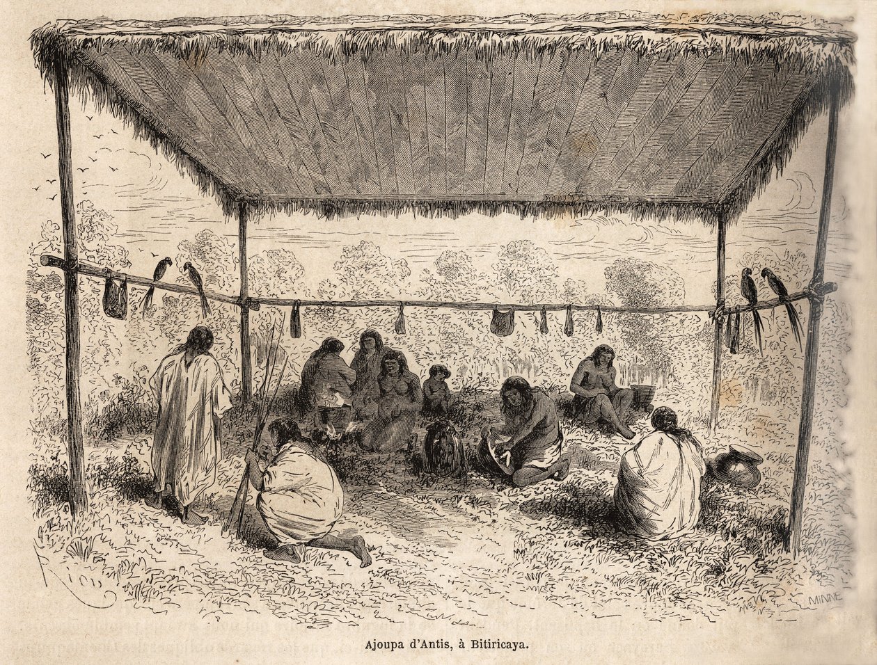 Ajoupa (costruzione abitativa precaria) degli indiani Antis, a Biticaraya (Perù), disegno di Riou, per illustrare il viaggio dall