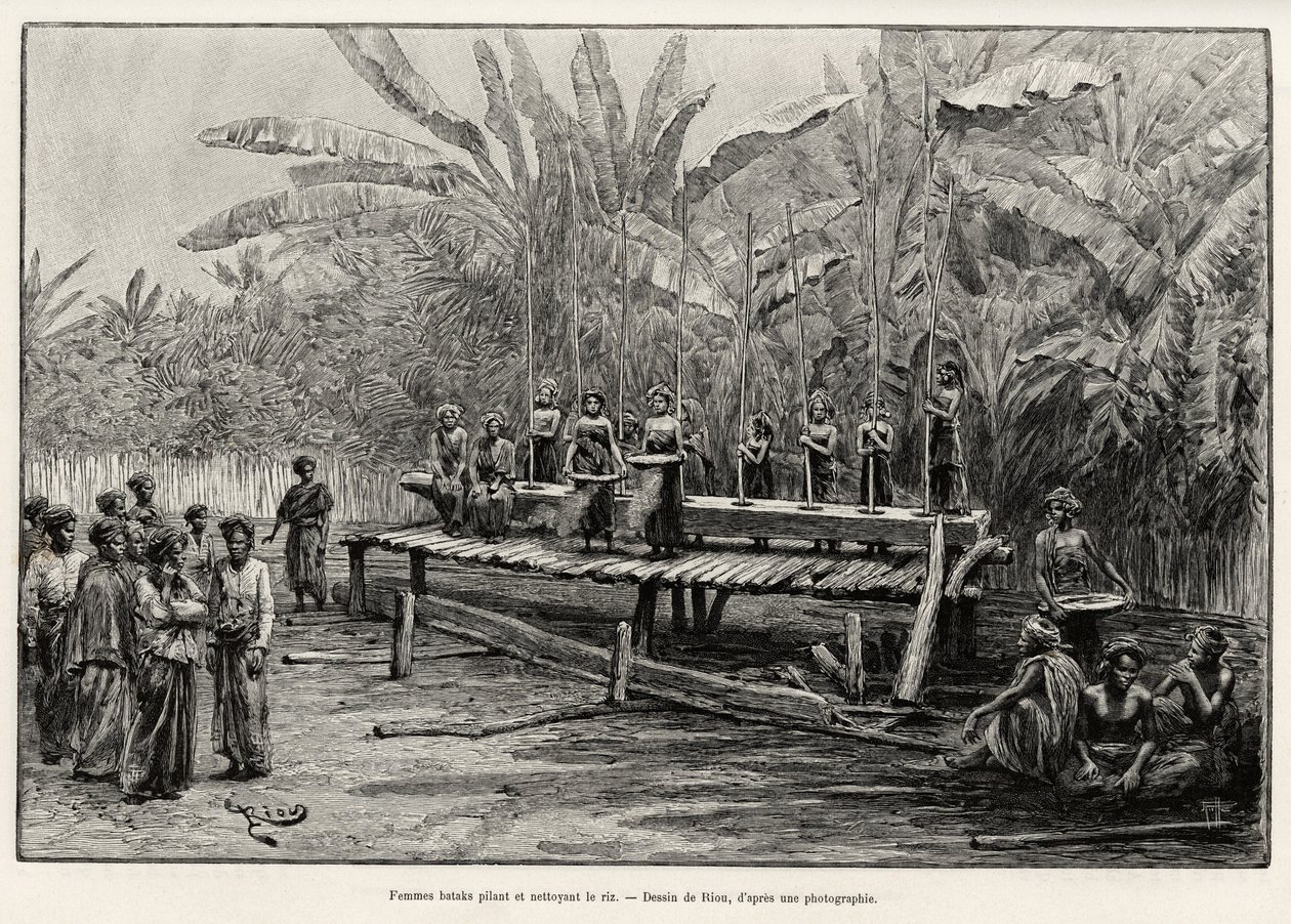 Donne Batak, gruppo etnico del nord di Sumatra, che pestano e puliscono il riso. Incisione di Riou per illustrare la storia "un anno in Malesia", di Jules Claine (1856-1939) da Edouard Riou