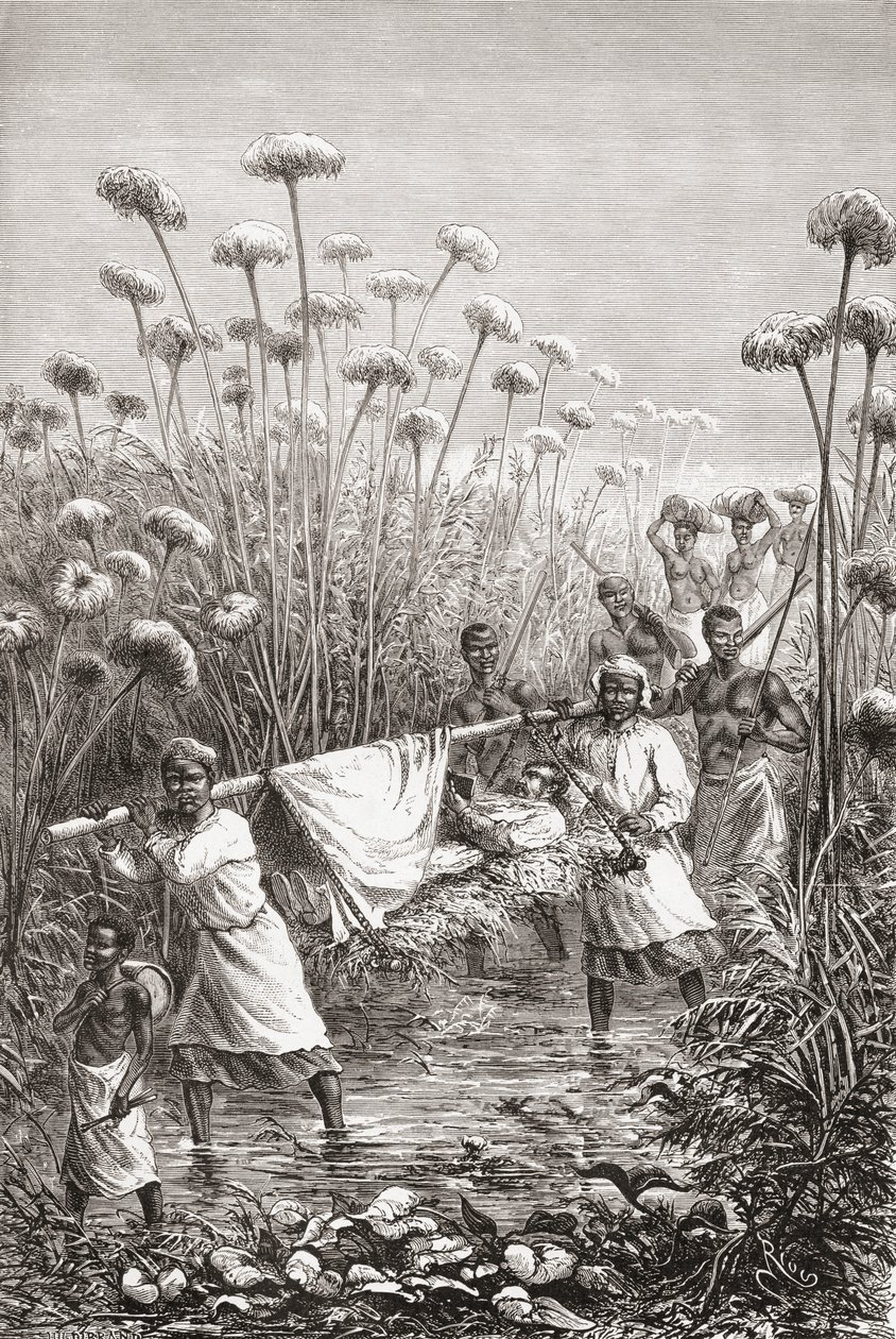 Il dottor David Livingstone trasportato negli ultimi chilometri fino al villaggio di Tchitammbo, Africa, poco prima della sua morte, illustrazione da "Il mondo nelle mani", inciso da Henri Theophile Hildibrand da Edouard Riou