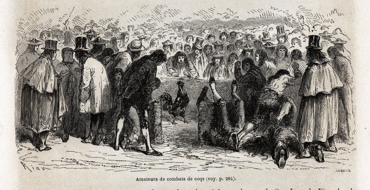 Combattenti, si radunano ogni domenica intorno alla cancha de gallos (circo di 30 piedi di circonferenza) per assistere ai combattimenti mortali degli animali, a Cuzco, disegno di Riou, per illustrare il viaggio attraverso il Sud America, dal 1848 al 1860  da Edouard Riou