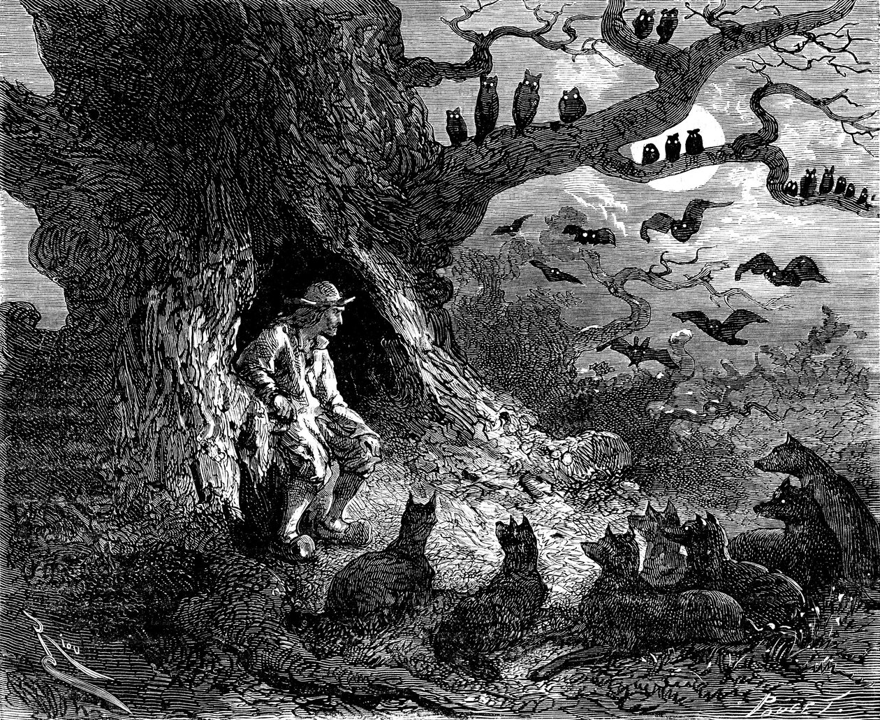 Illustrazione per il romanzo di Alexandre Dumas "Il capo dei lupi": Thibault sembrava essere al centro di un cerchio infernale, XIX secolo da Edouard Riou