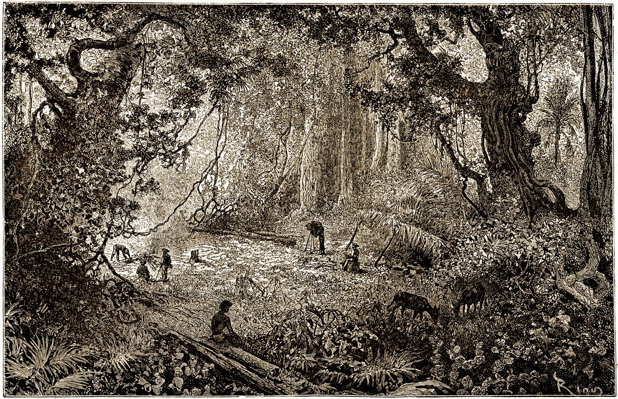 Installazione di un campo di esploratori in Guatemala (1882) da Edouard Riou