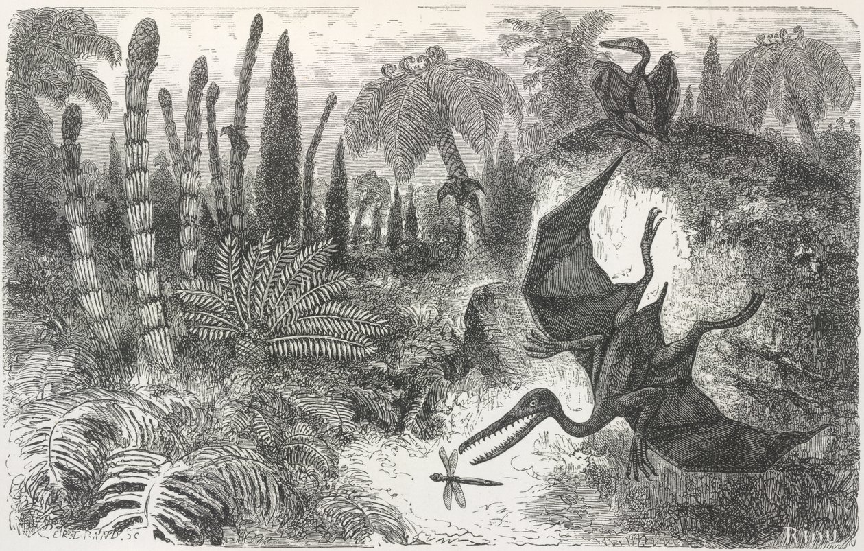 Paesaggio del periodo Liasico. Illustrazione che raffigura un Pterodattilo da Edouard Riou