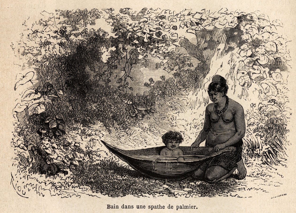 Il bagno del bambino in una foglia di palma. Disegno di Riou, per illustrare il viaggio dall