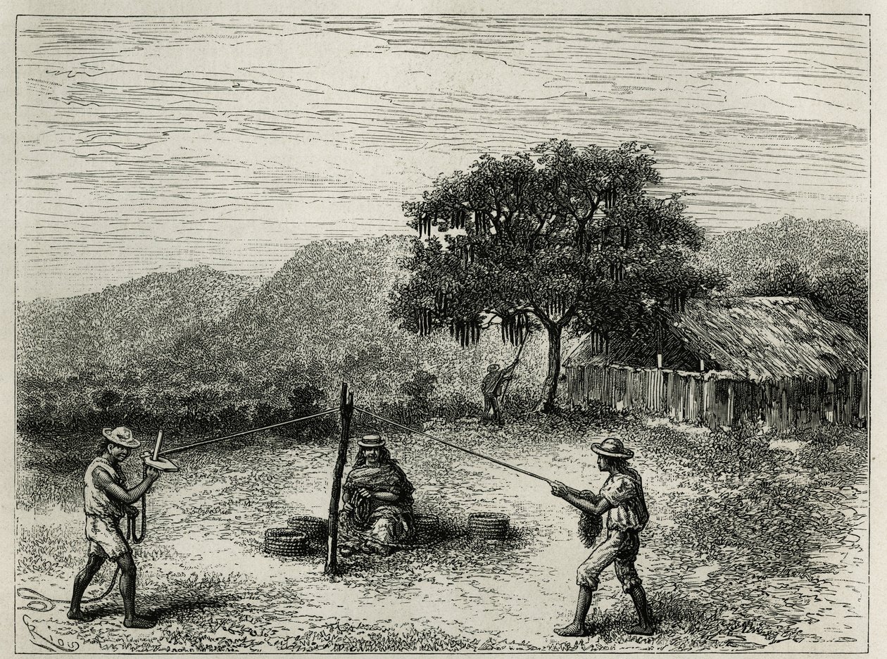 La fabbricazione della cabuya, corda di Fourcroya, vicino a Cartago (Colombia), incisione di Riou, per illustrare il racconto di America Equinoziale di E. Andre, missione assegnata dal governo francese, pubblicato in Le tour du monde, sotto la direzione di da Edouard Riou