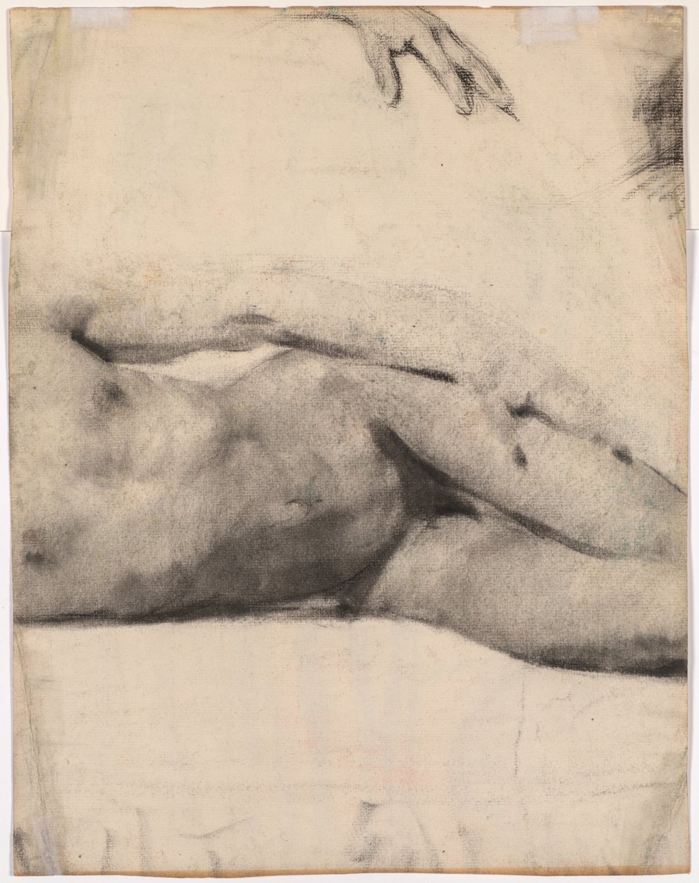 Nudo maschile reclinato (verso) da Edouard Vuillard