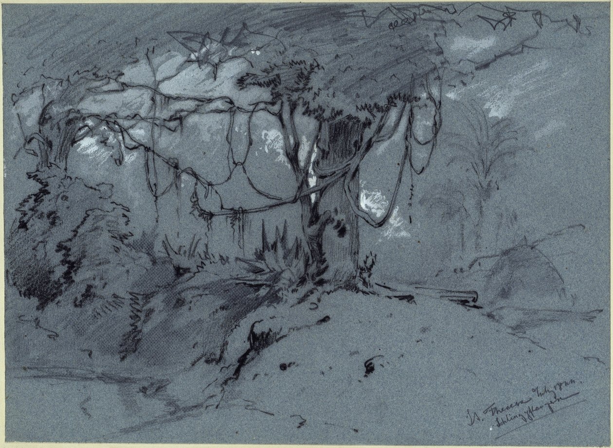 Albero con piante rampicanti da Eduard Hildebrandt