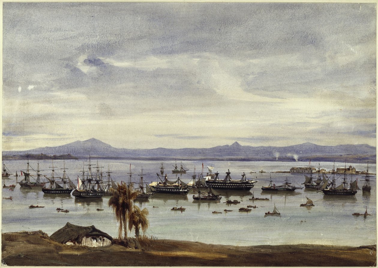 Panorama di Rio de Janeiro da Eduard Hildebrandt