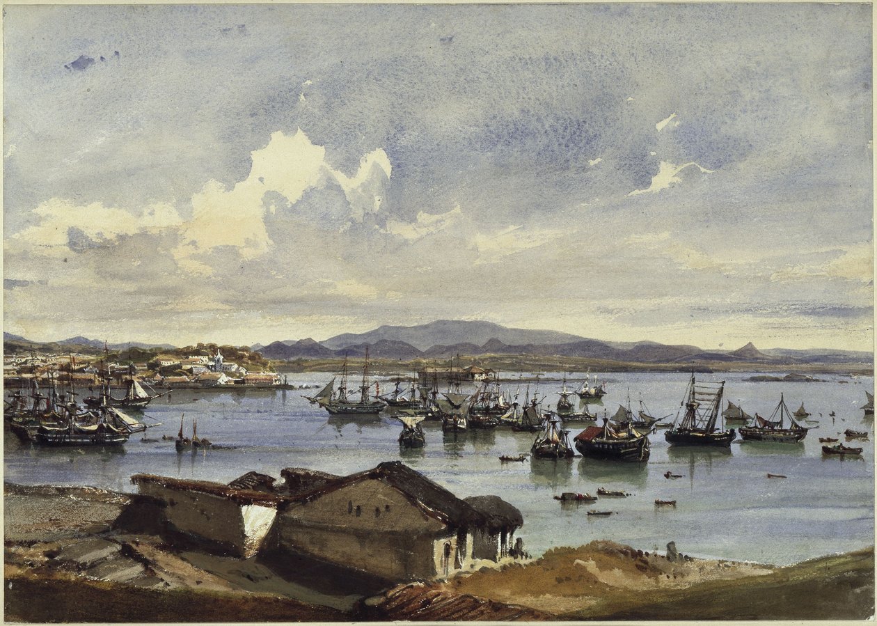 Panorama di Rio de Janeiro da Eduard Hildebrandt
