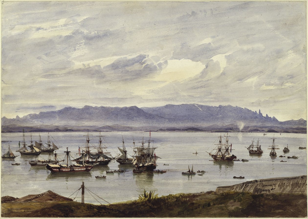 Panorama di Rio de Janeiro da Eduard Hildebrandt