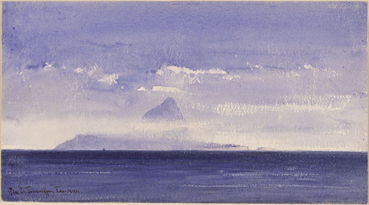 Pico de Tenerife da Eduard Hildebrandt