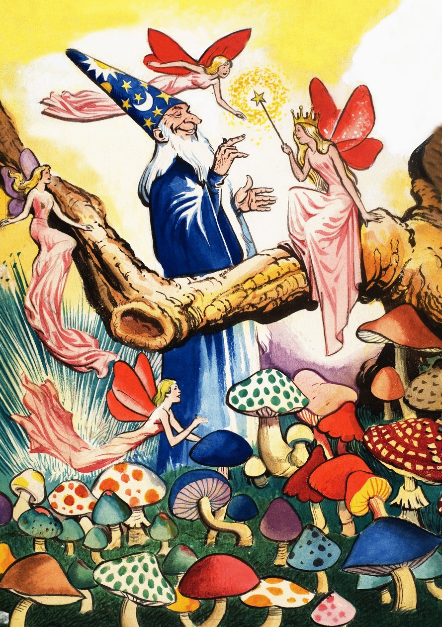 Mago nella foresta di funghi da Eduardo Teixeira Coelho