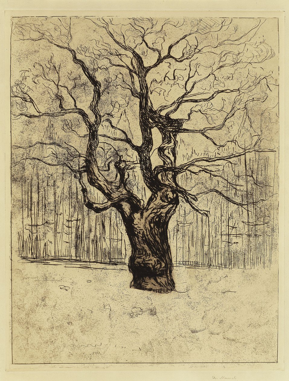 La quercia da Edvard Munch