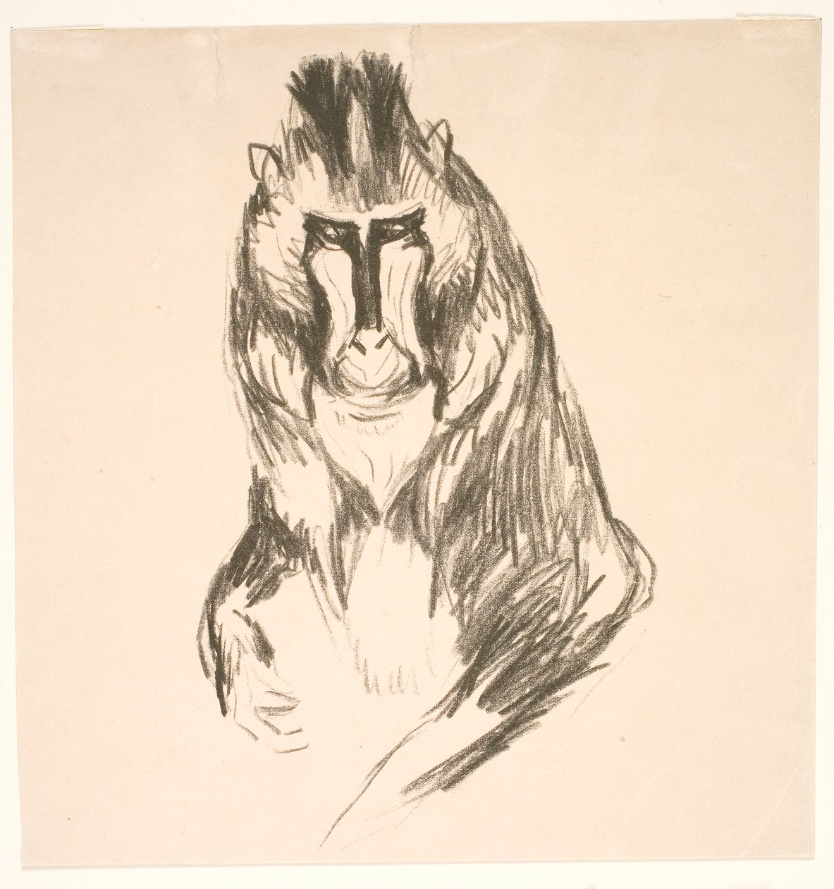 Gorilla da Edvard Munch