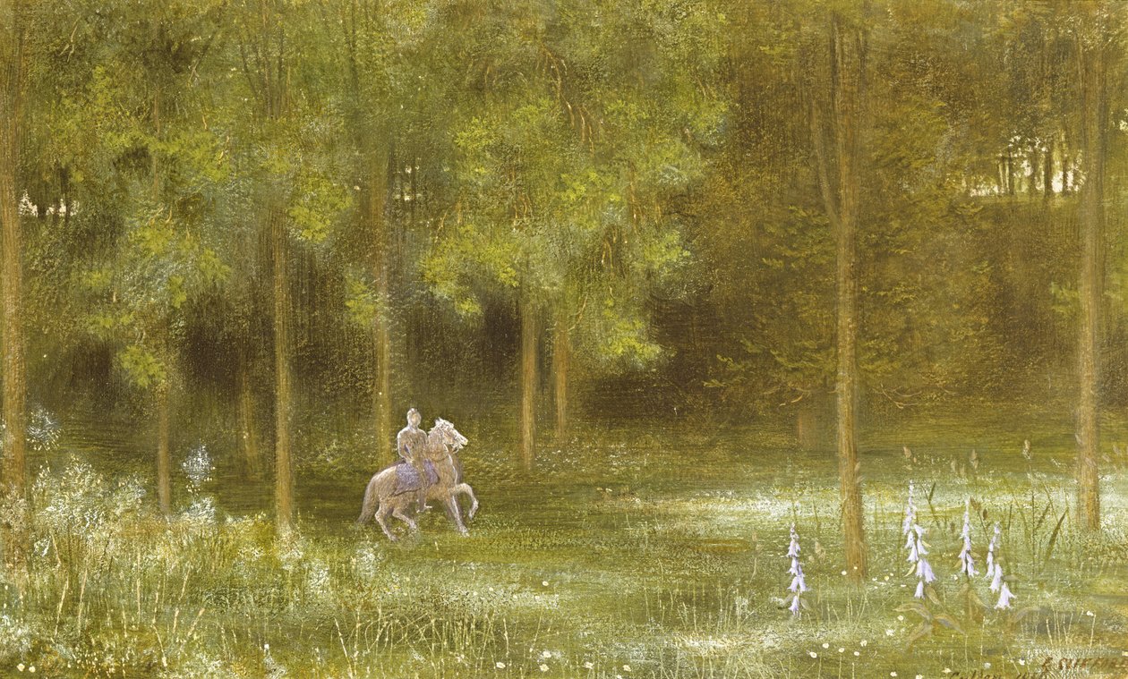 Cavaliere in un paesaggio da Edward Clifford