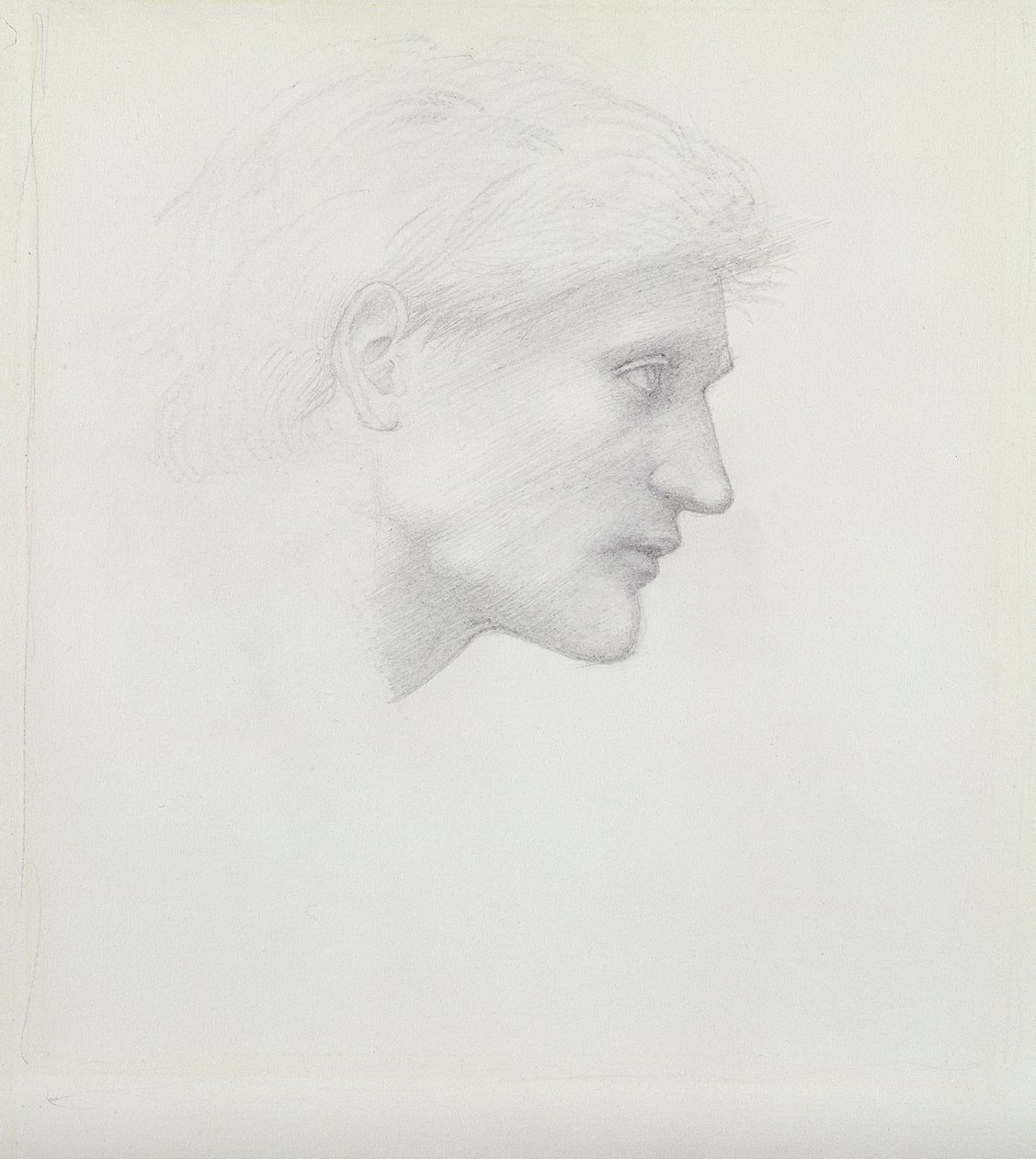 Alessandro di Marco - studio della testa da Edward Burne Jones