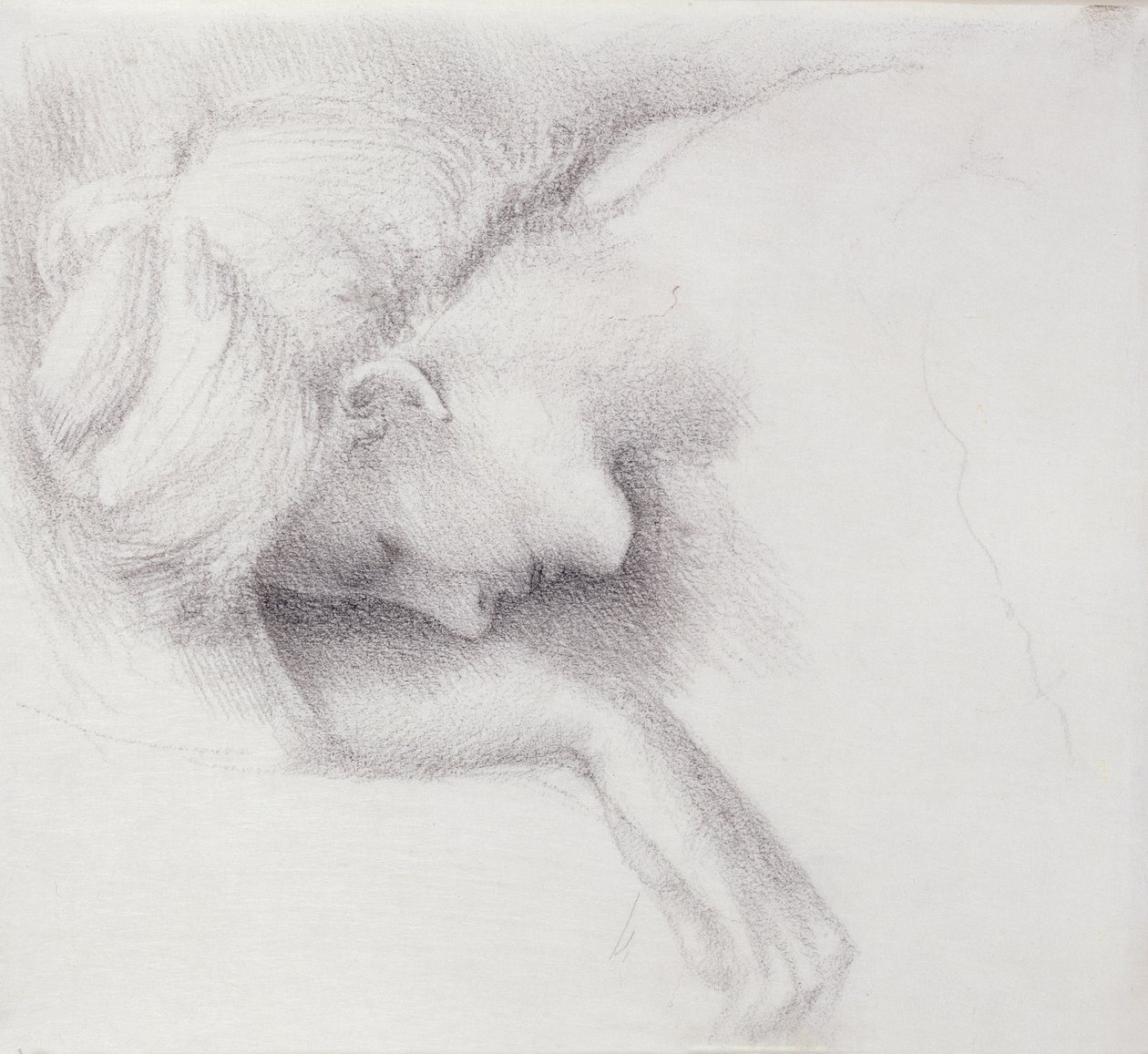 Il cortile del giardino - studio per la serie Briar Rose da Edward Burne-Jones