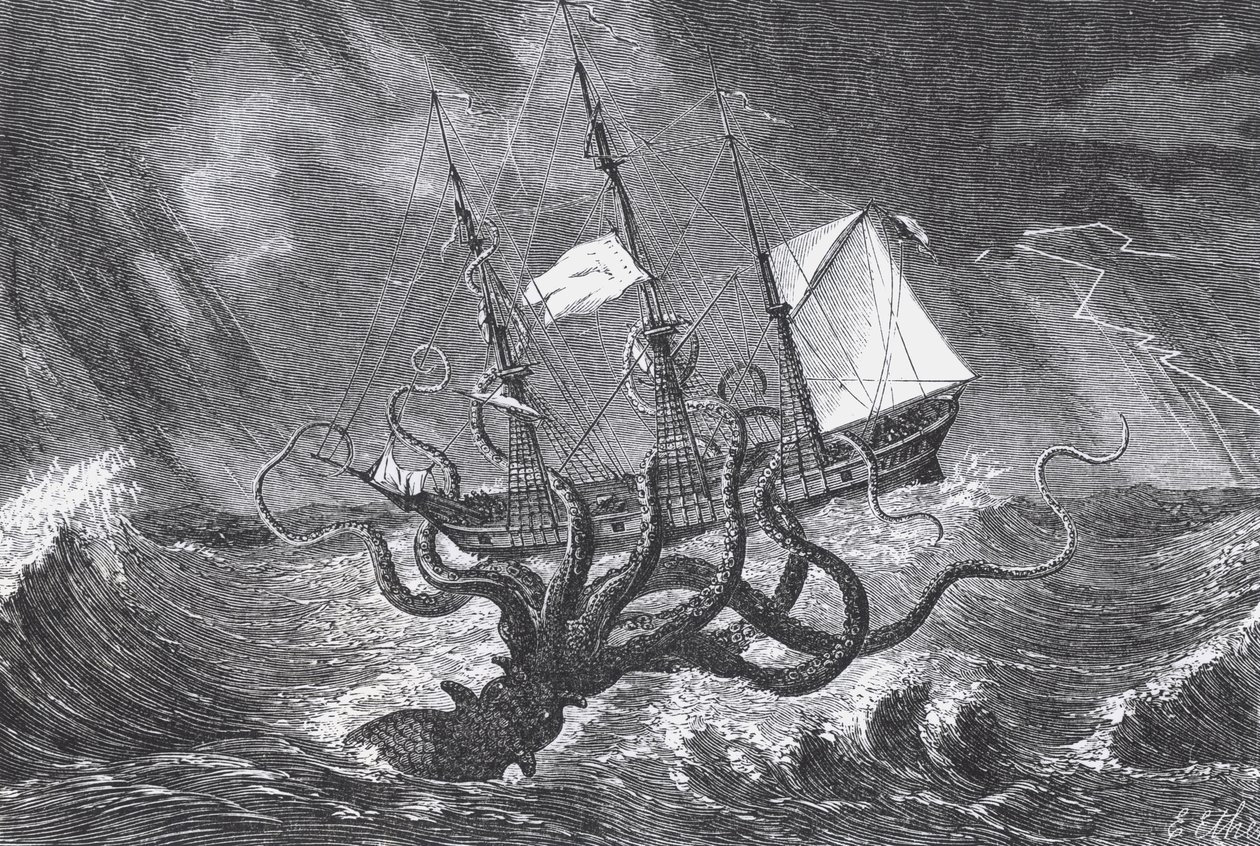 Il Kraken, visto dall