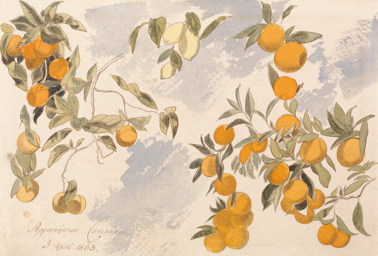 Alberi da frutto, 3 aprile 1863 da Edward Lear