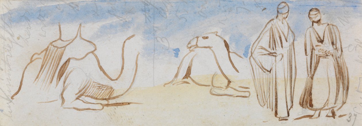 Studi di cammelli e uomini egiziani da Edward Lear