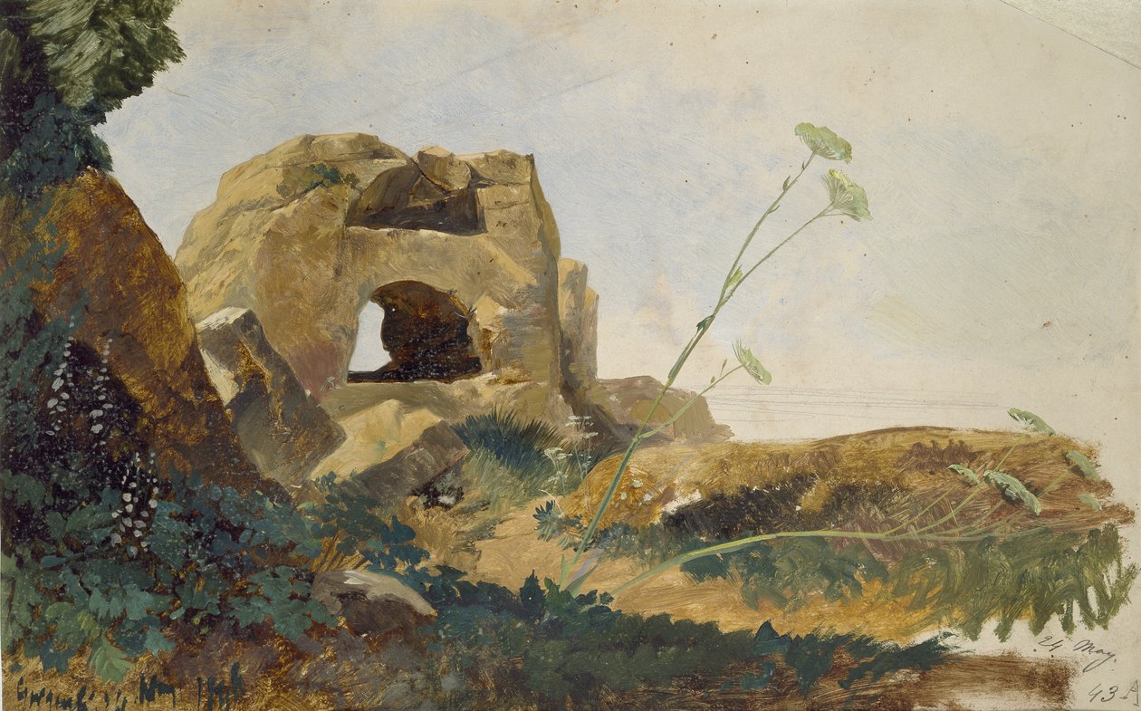 Studio di rocce e fogliame, Agrigento (Girgenti), Sicilia, 1847 da Edward Lear