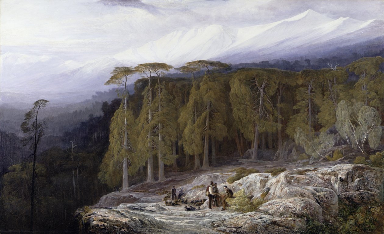 La foresta di Valdoniello, Corsica, 1869 da Edward Lear