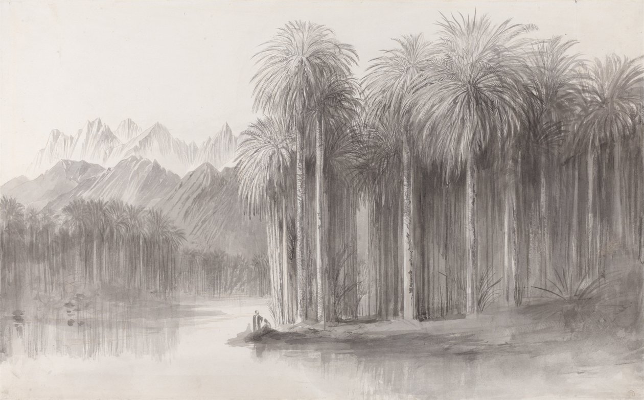 Wady Feiran, penisola del Monte Sinai da Edward Lear