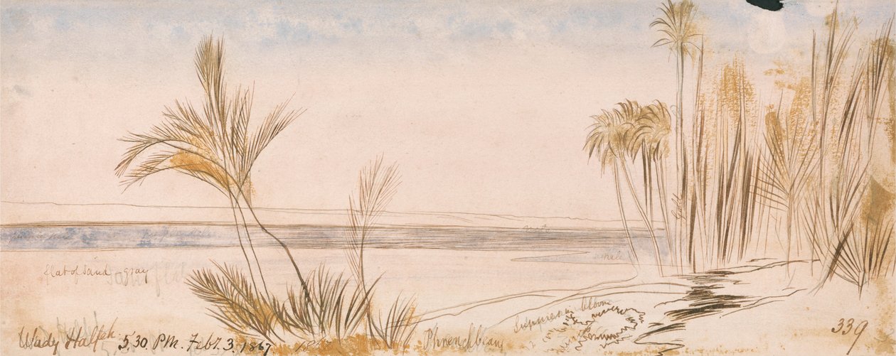 Wadi Halfa da Edward Lear