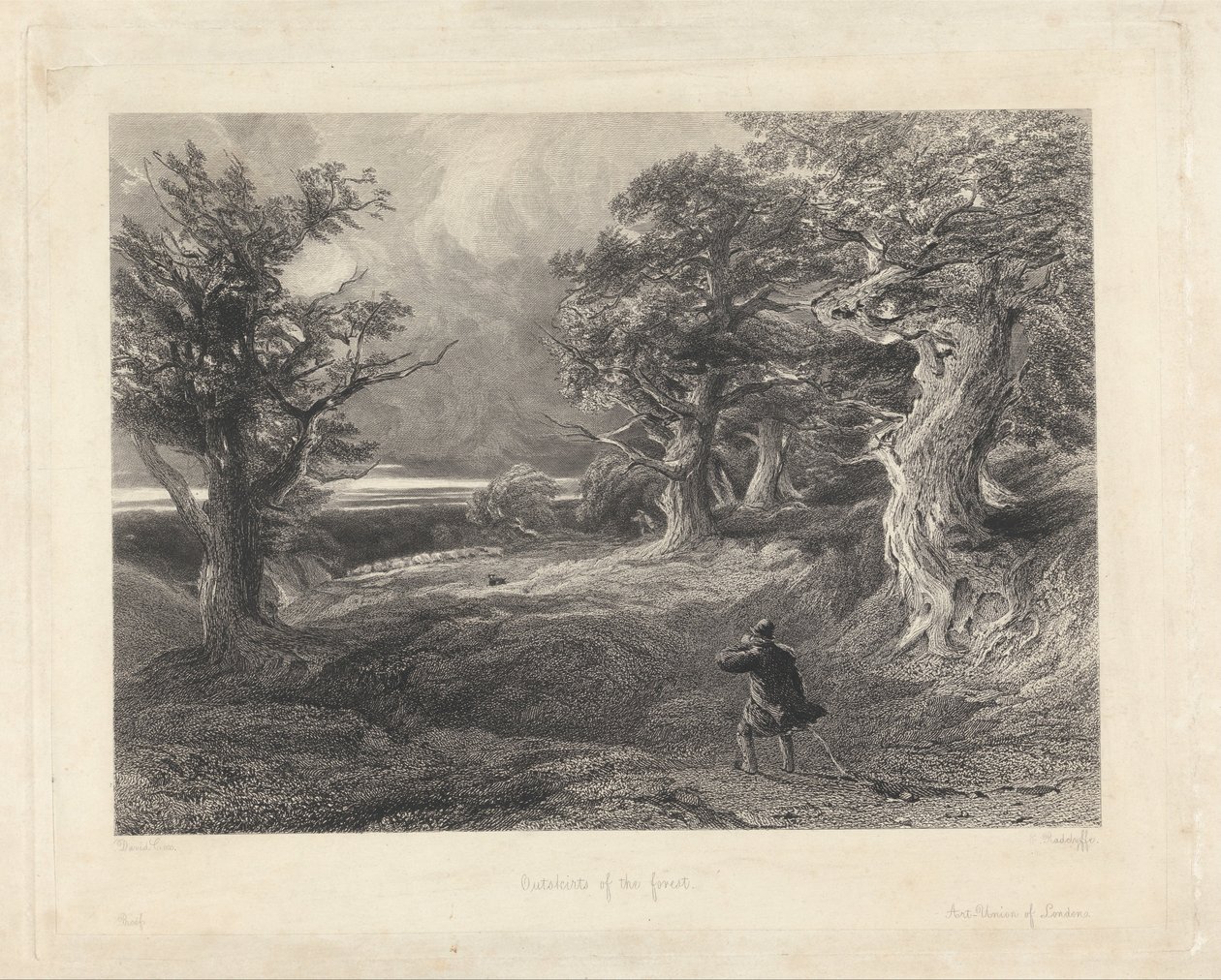 Periferia della foresta da Edward Radclyffe