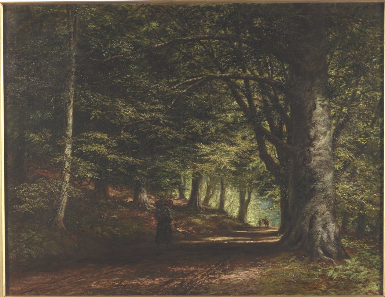 Viale di faggi, Inverary da Edward Railton Catterns