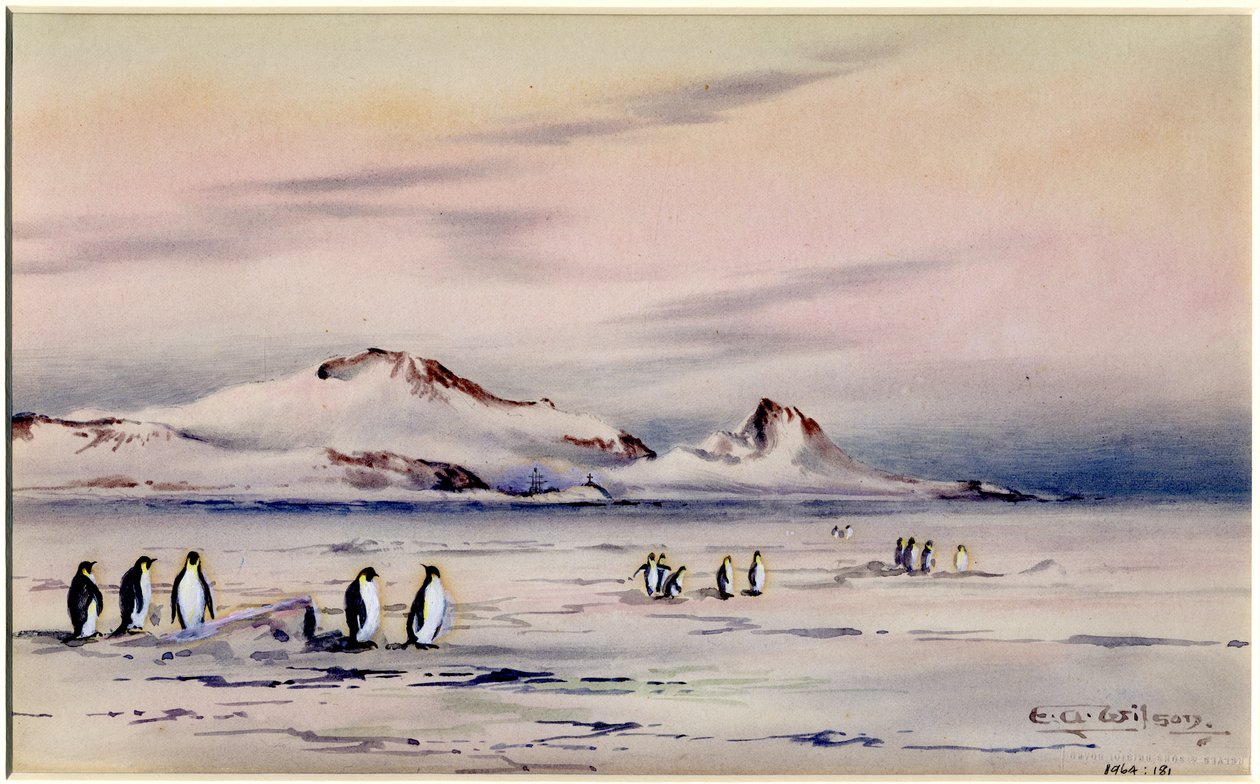 I quartieri invernali della scoperta, c.1901-04 da Edward Adrian Wilson