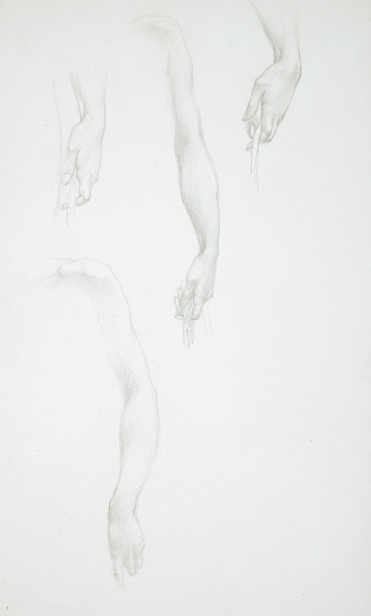 Studi di braccia e mani (recto); Studio di un busto femminile (verso) da Edward Burne-Jones