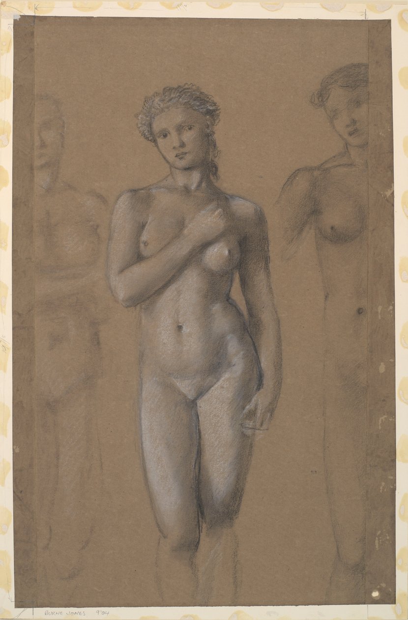 Nudo femminile - Tre studi, possibilmente per Venere da Edward Burne Jones