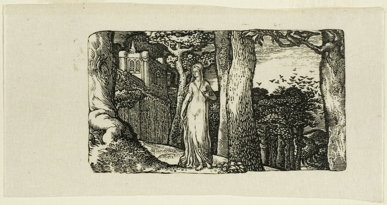 La signora e le torri da Edward Calvert