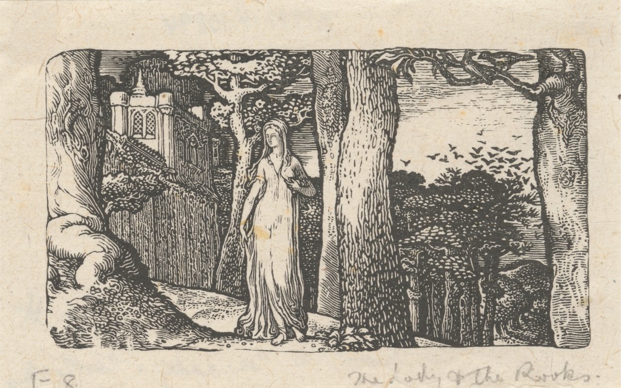 La Signora e i Corvi da Edward Calvert