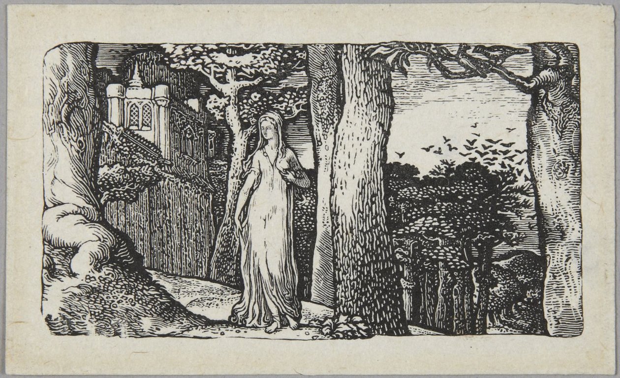 La dama con le cornacchie da Edward Calvert