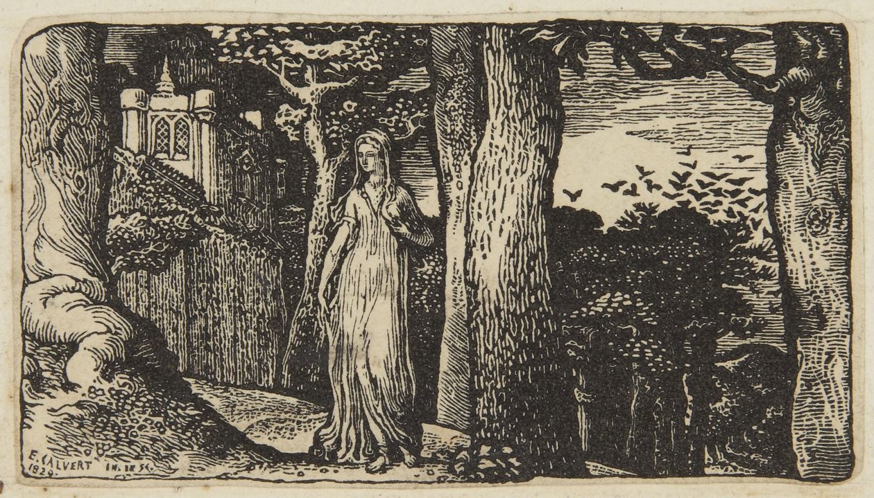 La dama con le cornacchie da Edward Calvert