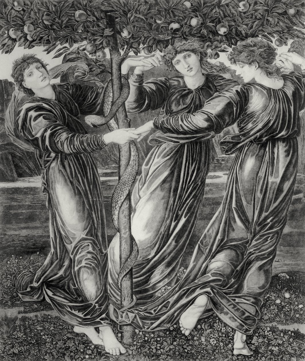 Il Giardino delle Esperidi da Edward Coley (after) Burne Jones