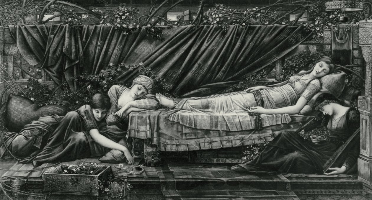 Il Bower della Rosa, dalla serie Briar Rose da Edward Coley (after) Burne Jones