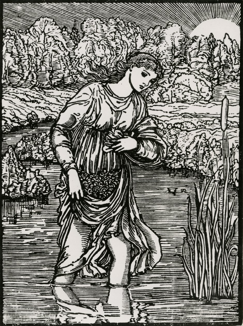 Il compito delle canne da Edward Coley (after) Burne Jones