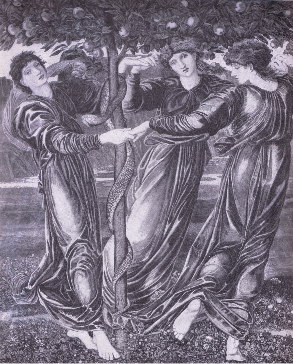 Il giardino delle Esperidi, Bibbys Annual da Edward Coley (after) Burne Jones
