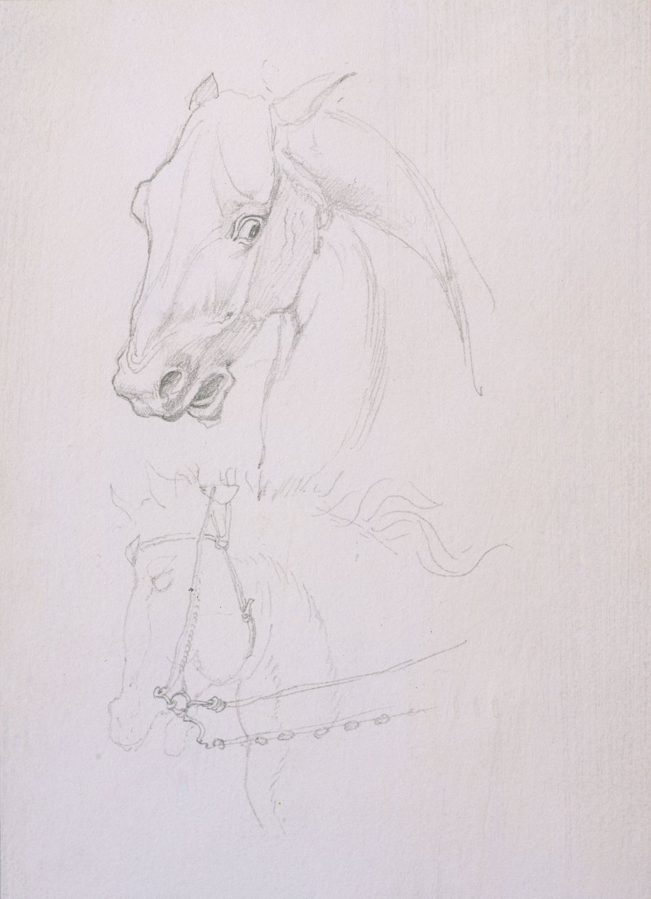 Studio della Testa di un Cavallo da Edward Coley Burne Jones