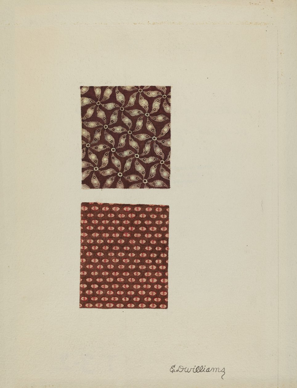 Campioni di cotone stampato da Edward D. Williams
