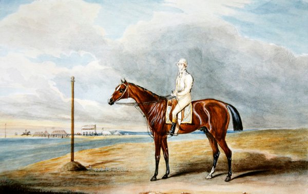 Il 